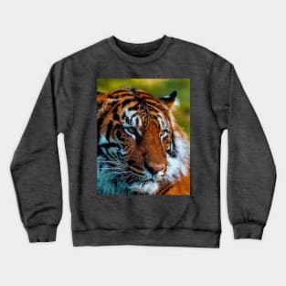 Sumatran tiger Crewneck Sweatshirt